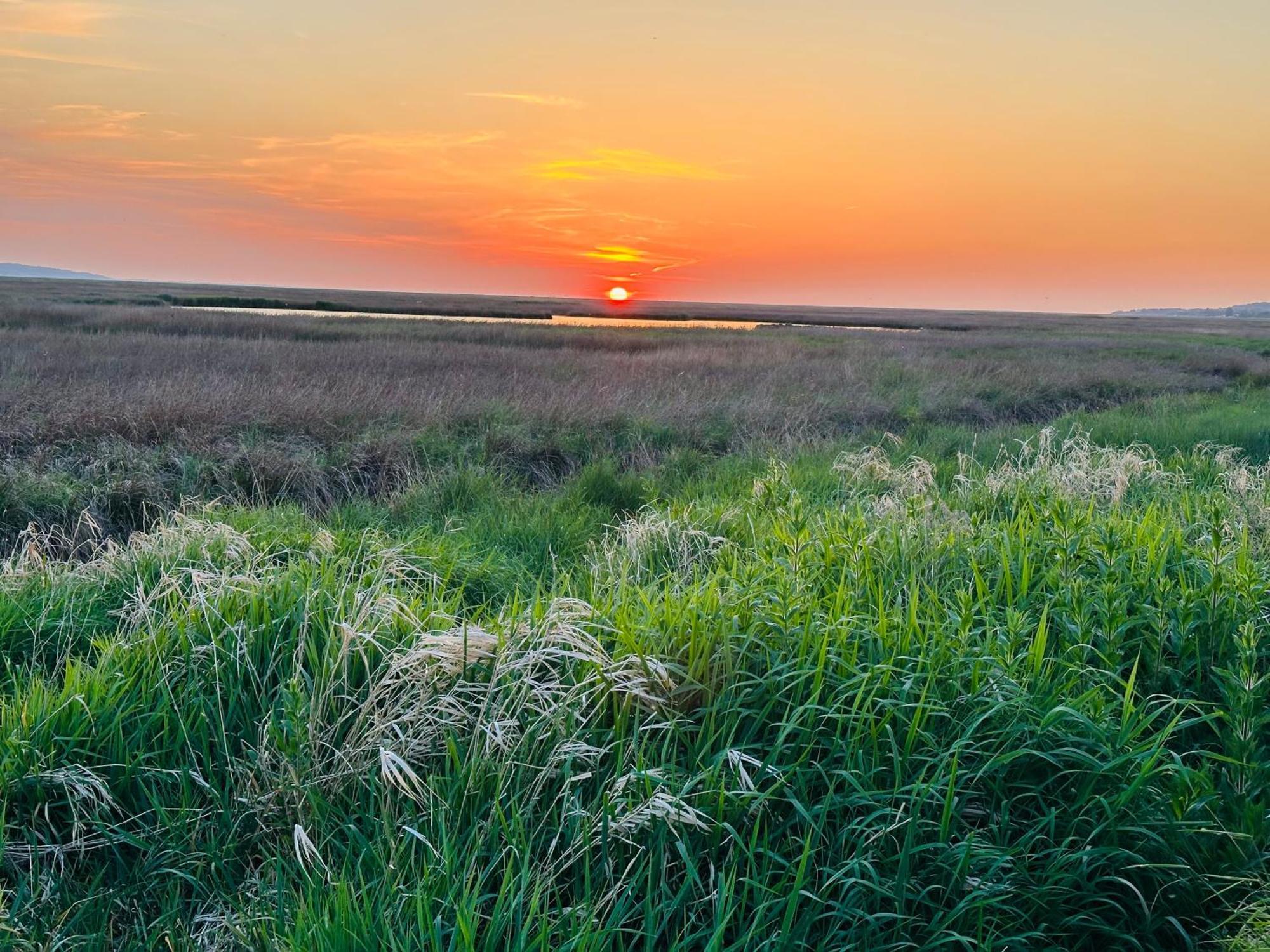 The Rambler'S Rest Cottage, Parkgate, Wirral Parkgate  Dış mekan fotoğraf